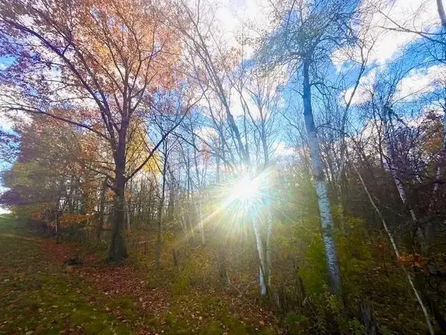 Lot 4 320th Street, Clear Lake, WI 54005 - Image #3