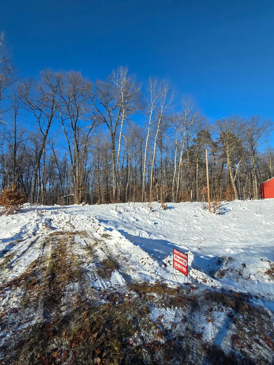 TBDxx Lake Ave, Shamrock Township, MN 55760 - Image #2