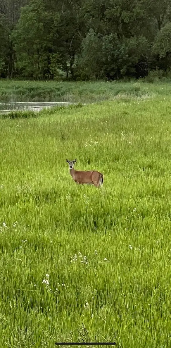 XXXX 280th Street E, Webster, MN 55088