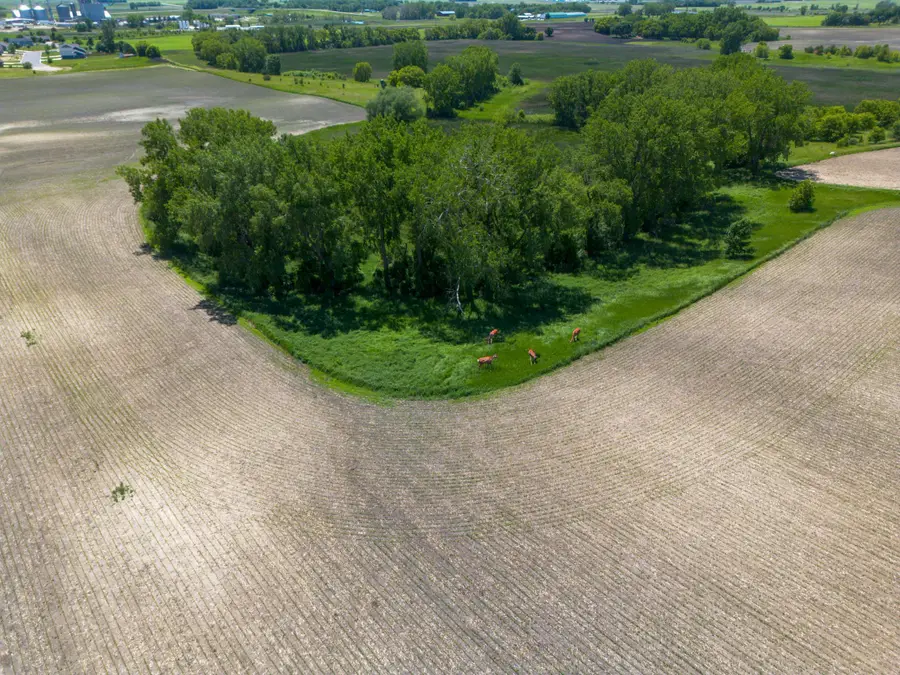 1400 Co Rd 15, Willmar, MN 56201 - #2