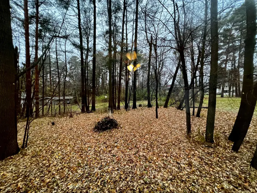 1113 2nd Avenue, Howard Lake, MN 55349 - Image #3