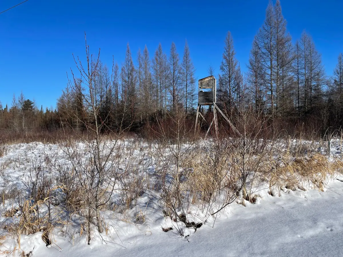 508 Cedar Valley Rd, Cedar Valley Township, MN 55736 - Image #1