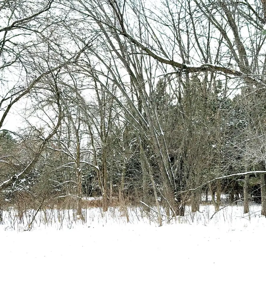 10025 Russell Avenue N #2, Brooklyn Park, MN 55444 - Image #2