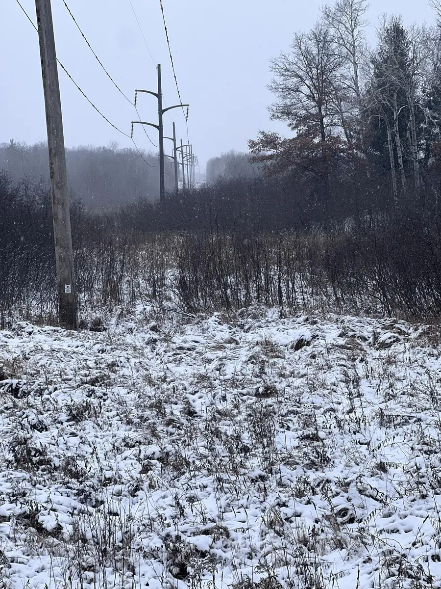 tbd County Line Avenue, Black Brook, WI 54005 - Image #3