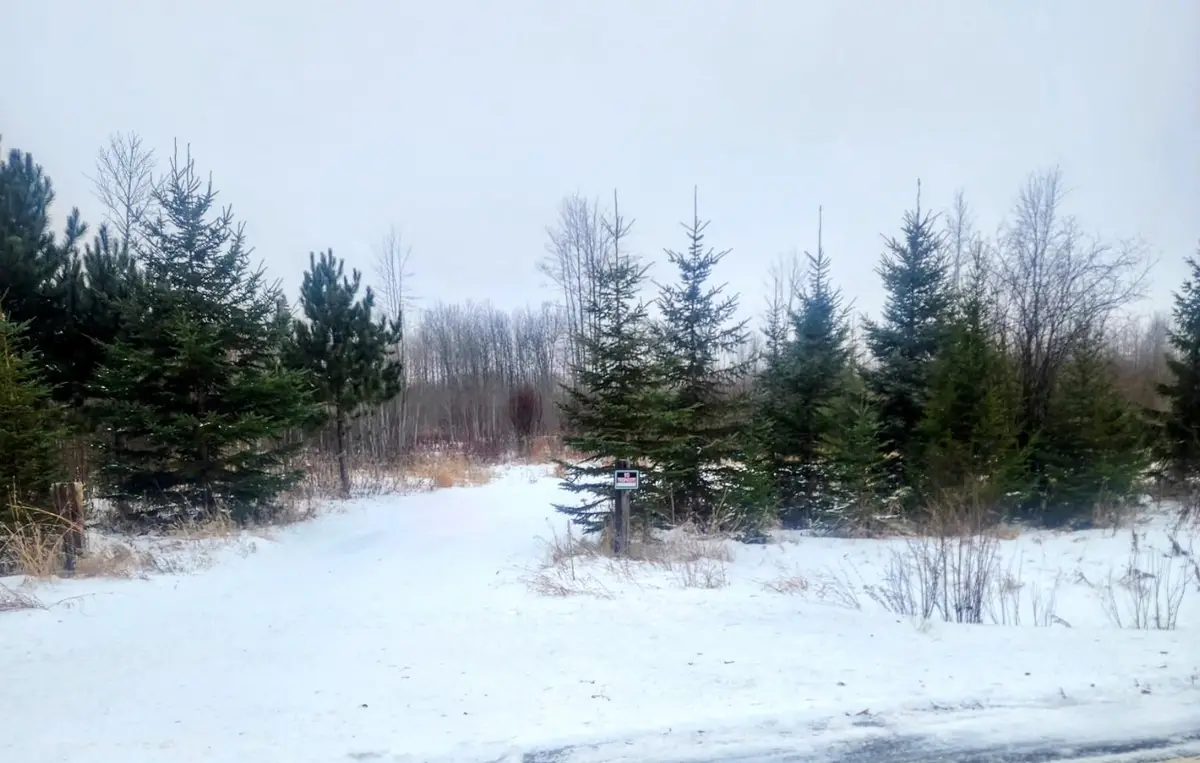 County Road 17 E County Road 17 E, Mizpah, MN 56660 - Image #1