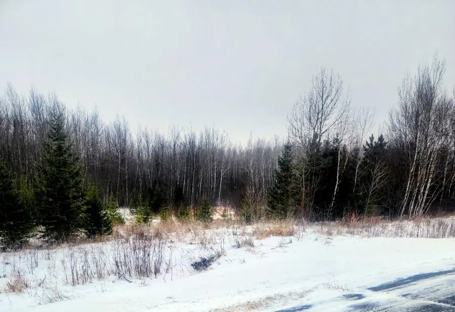 County Road 17 E County Road 17 E, Mizpah, MN 56660 - Image #3