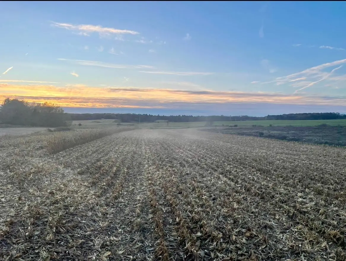 TBD 85th Street, Clear Lake, WI 54005 - #1