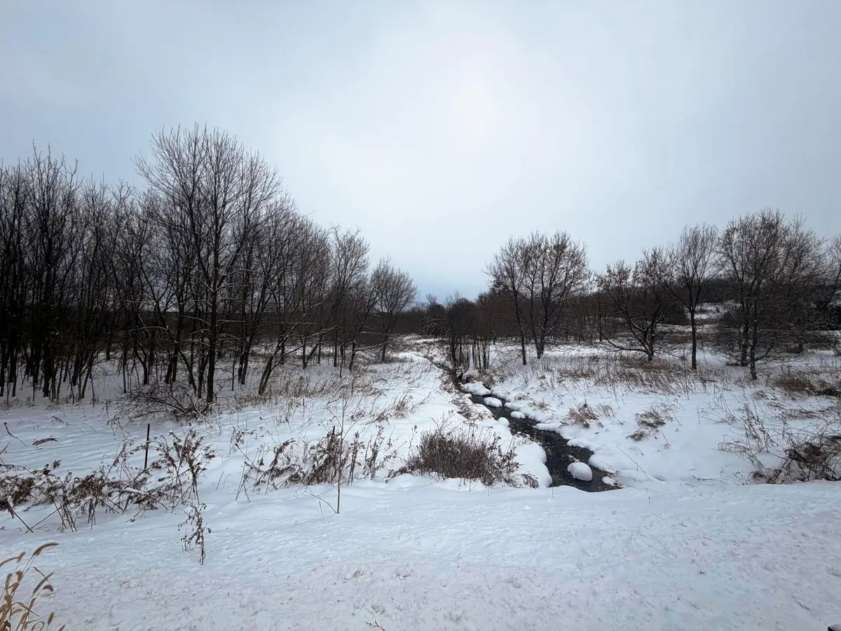 TBD Lands Along 160th Ave & 315th St, Glenwood City, WI 54013 - Image #1