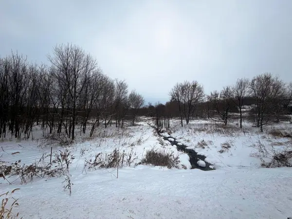 TBD Lands Along 160th Ave & 315th St, Glenwood City, WI 54013