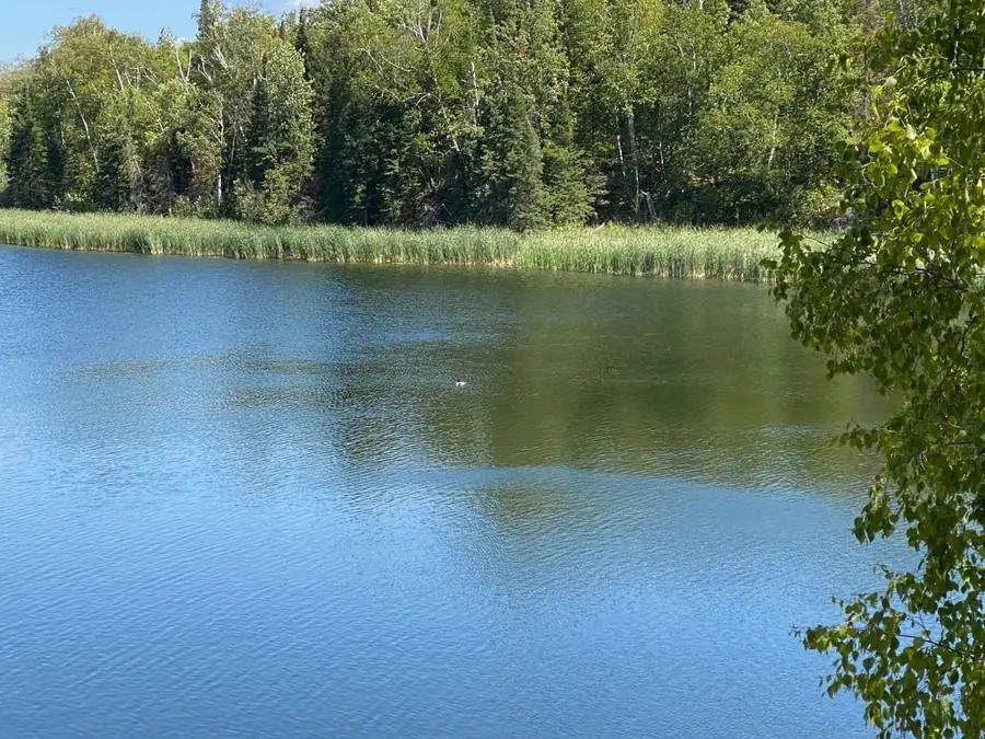 49954 209th Avenue, Clearbrook, MN 56634 - Image #2