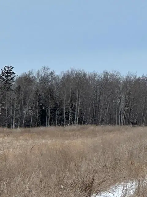 00000 County Road 6, Karlstad, MN 56732 - Image #2