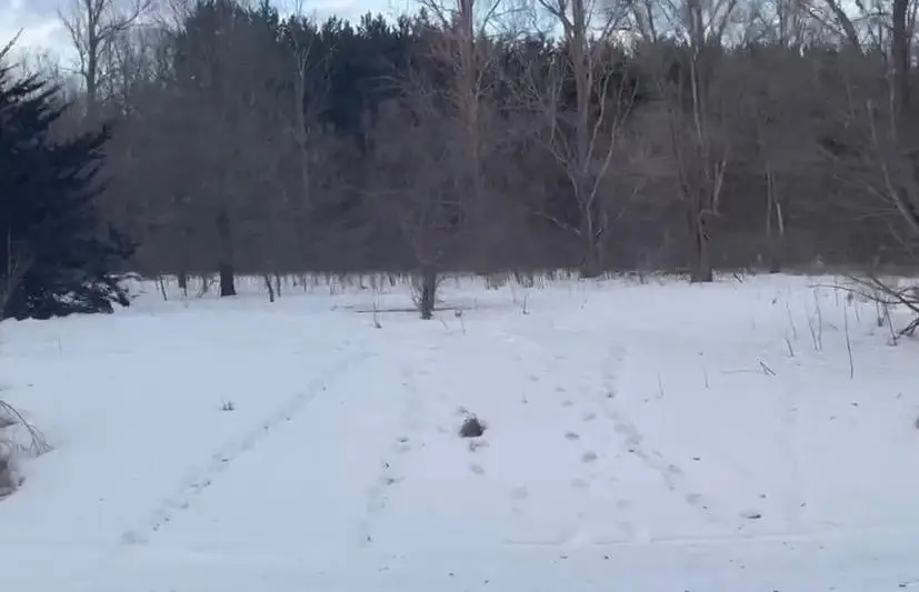 TBD Riverview Drive Ne, Carlos, MN 56319 - Image #1