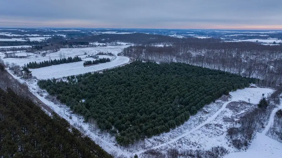 0 6 1/2 Avenue, Hillsdale, WI 54733 - Image #2