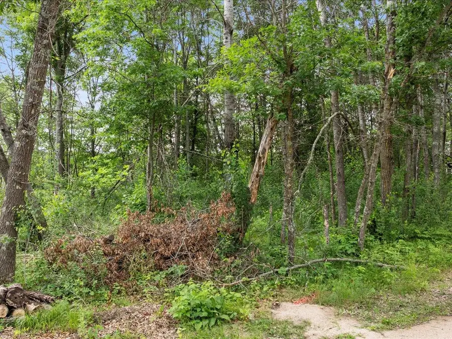 TBD E Cree Bay Circle, Pequot Lakes, MN 56472 - Image #3