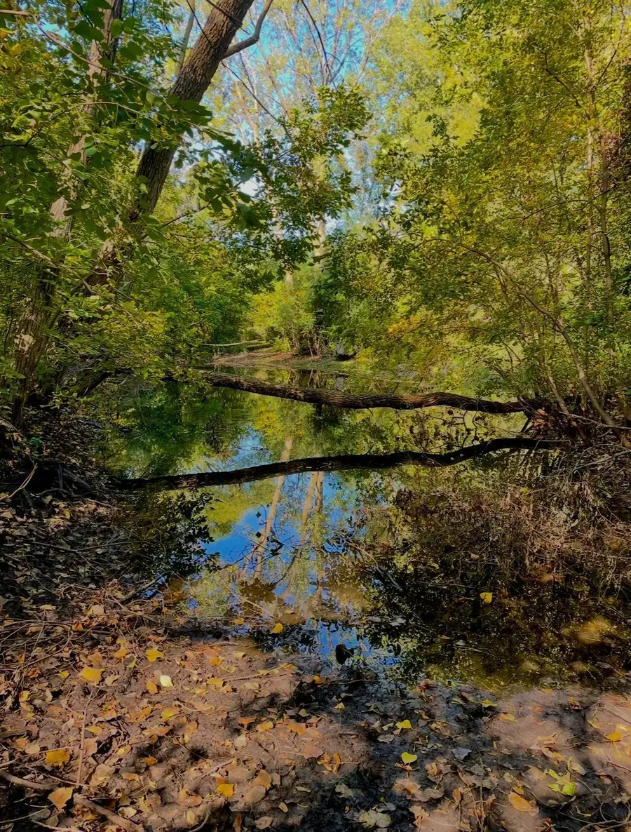 na Na, Albert Lea, MN 56007 - Image #3