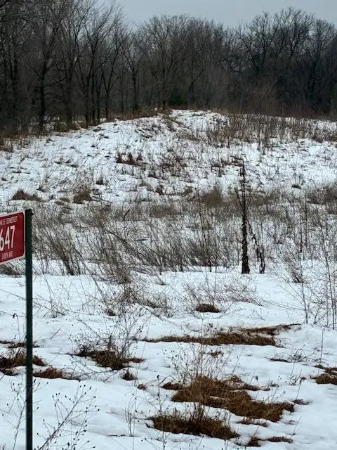 647 210th Avenue, Somerset, WI 54025 - #2