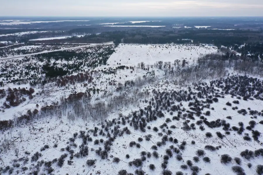 14672 Blueberry Bridge Road, Menahga, MN 56464 - Image #3