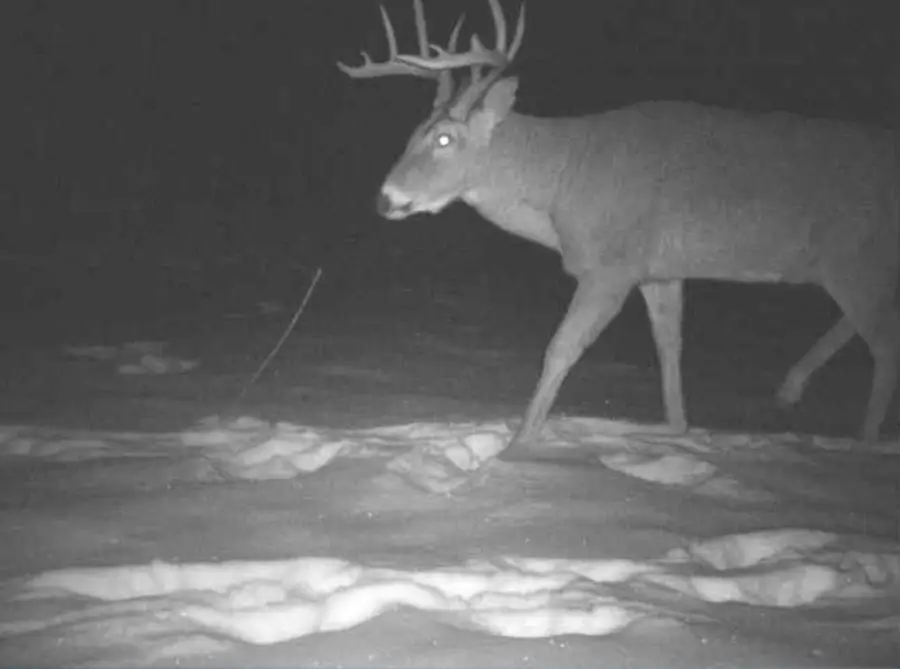 27262 151st Avenue, Bagley, MN 56621 - Image #2