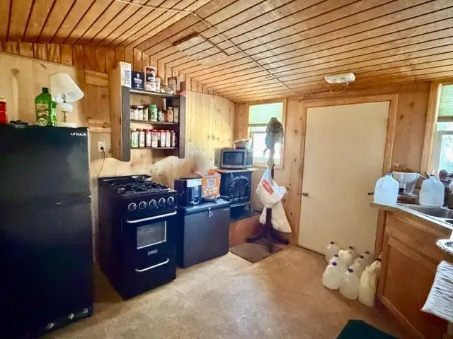 1152 Fernberg Road, Ely, MN 55731 - Image #2