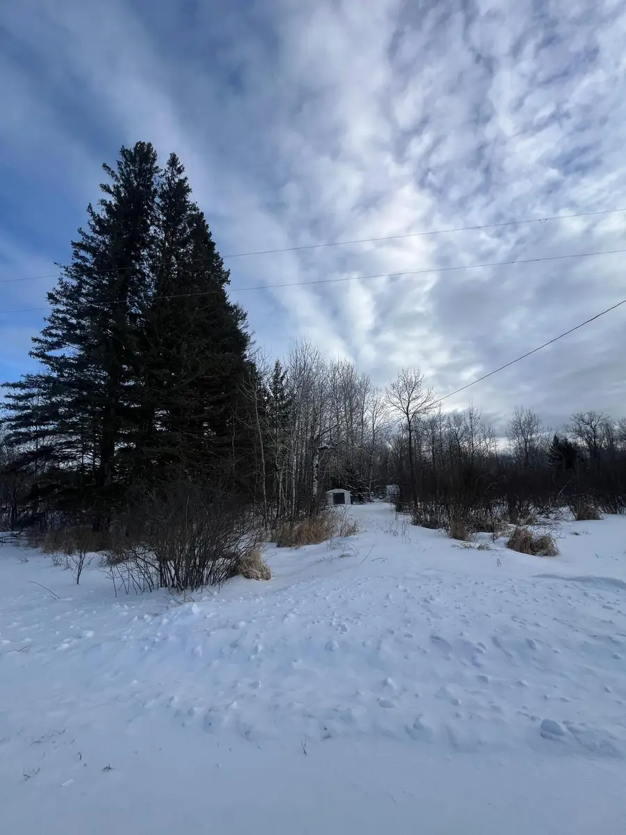 xxx Woods Road, Isle, MN 56342 - Image #3