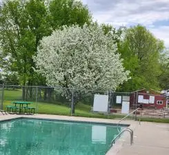 2945 County Road 4 #65 Sw, Cokato, MN 55321 - #1