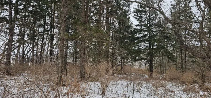 15737 403rd Avenue, Canton, MN 55922 - #3