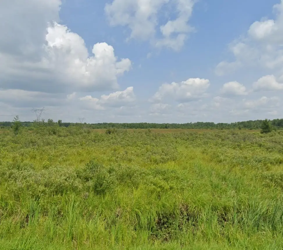 xx County Rd 6, Kettle River, MN 55757 - #1