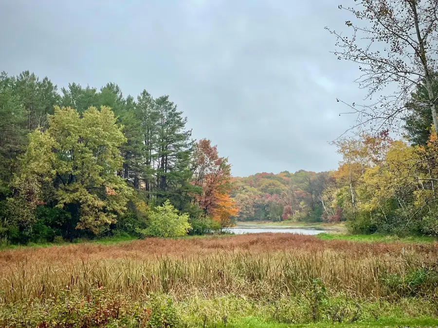 14169 Homestead Avenue N, Hugo, MN 55038 - Image #2