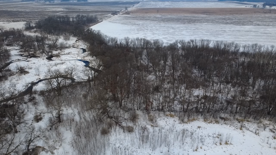 xxx Highway 56, Le Roy, MN 55951 - Image #3