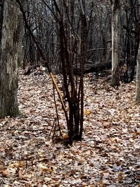 32107 County 45 Boulevard, Red Wing, MN 55066 - Image #3