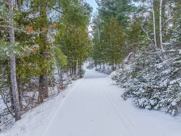 TBD Trezona Drive, Ely, MN 55731