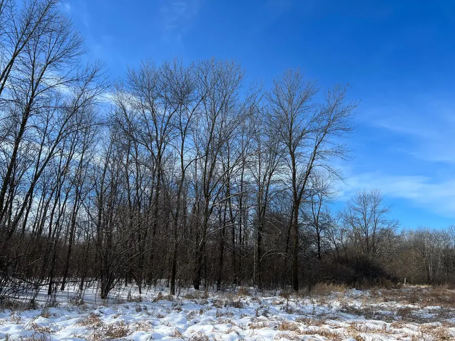 169xx Lake Boulevard, Shafer, MN 55074 - #2