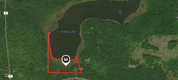 9426 Cramer Road, Finland, MN 55603