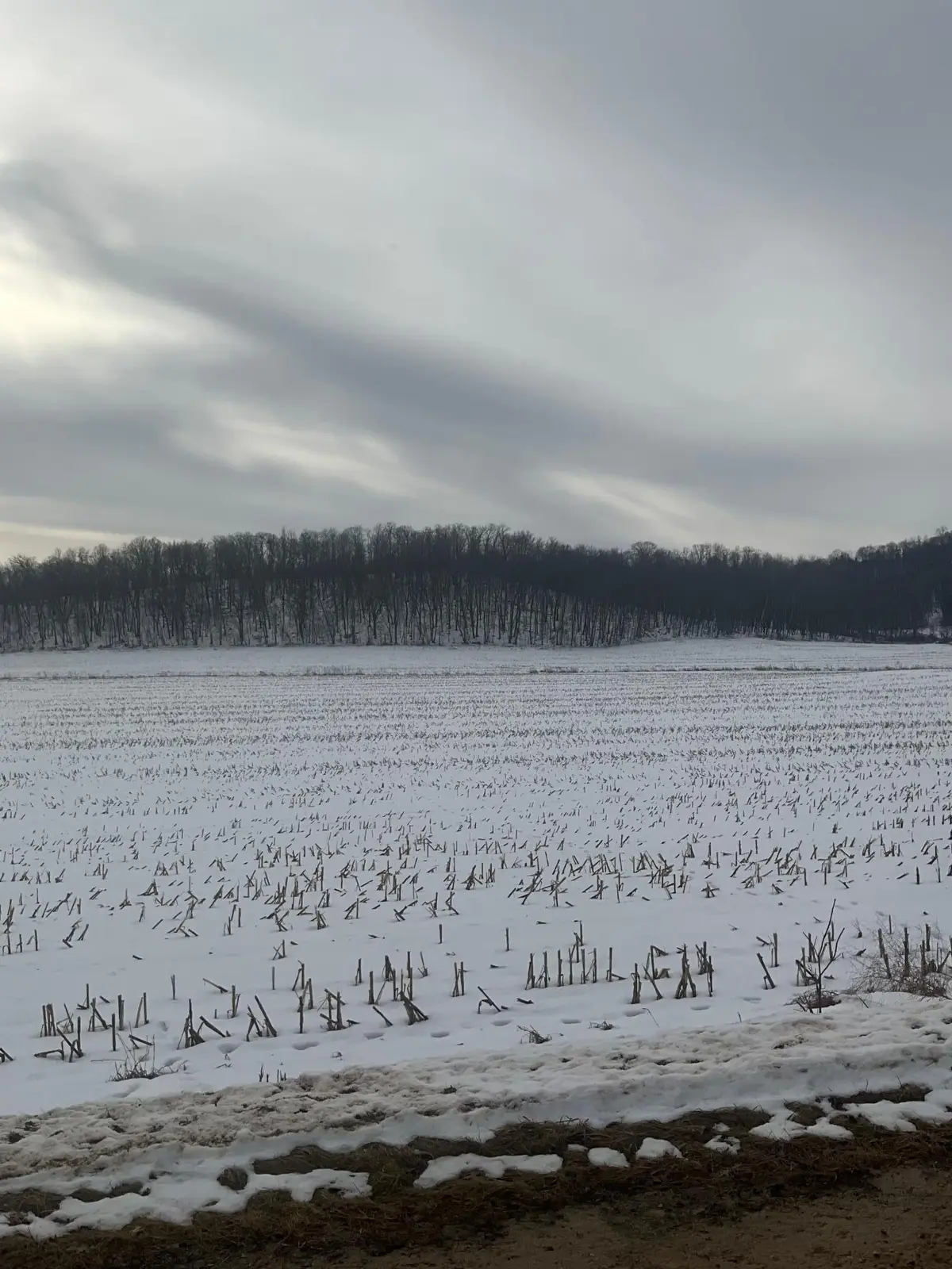 TBD Back Valley Road, Pepin, WI 54759 - Image #1