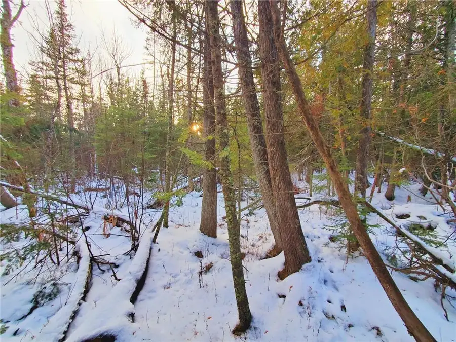 XX10 Lavaque Road, Duluth, MN 55802 - #3