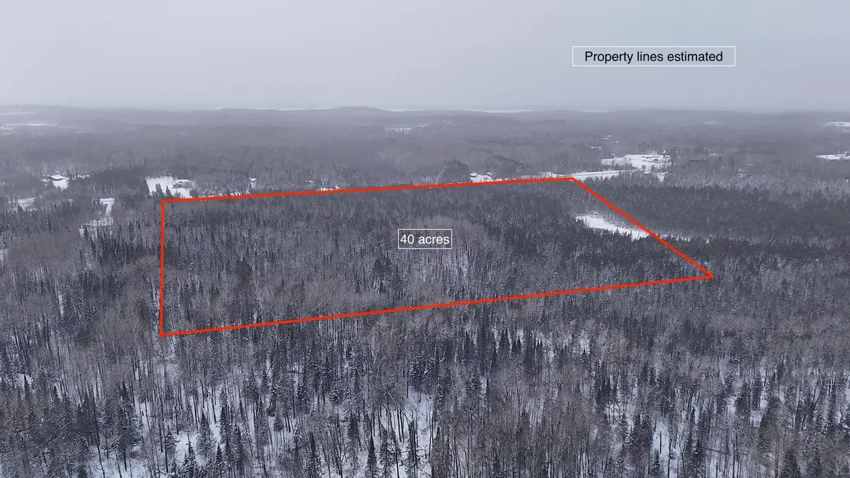 XX40 Lavaque Road, Duluth, MN 55802 - #1