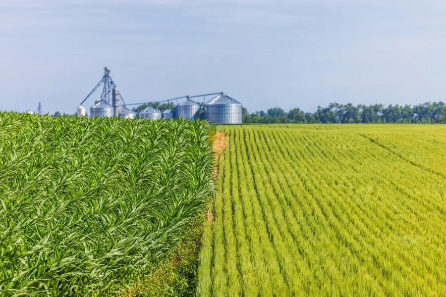 TBD 58 Street Se, Moore, ND 58054 - #3