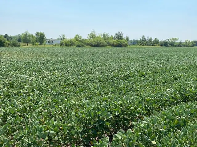 TBD 160th St., Foreston, MN 56330 - Image #2