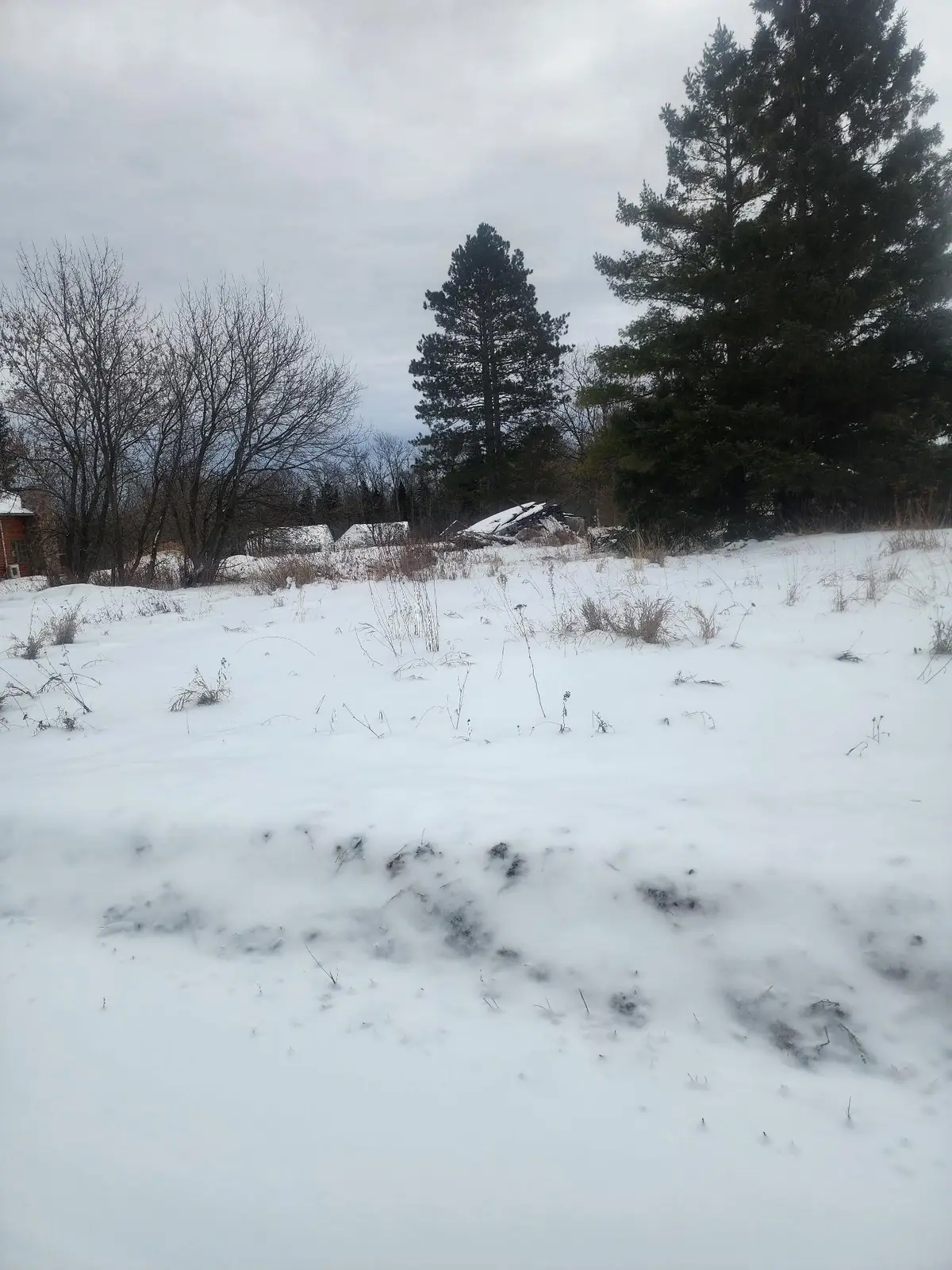 12096 Ramsey Street, Northome, MN 56661 - #1