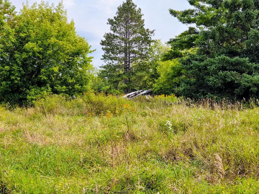 12096 Ramsey Street, Northome, MN 56661 - #3