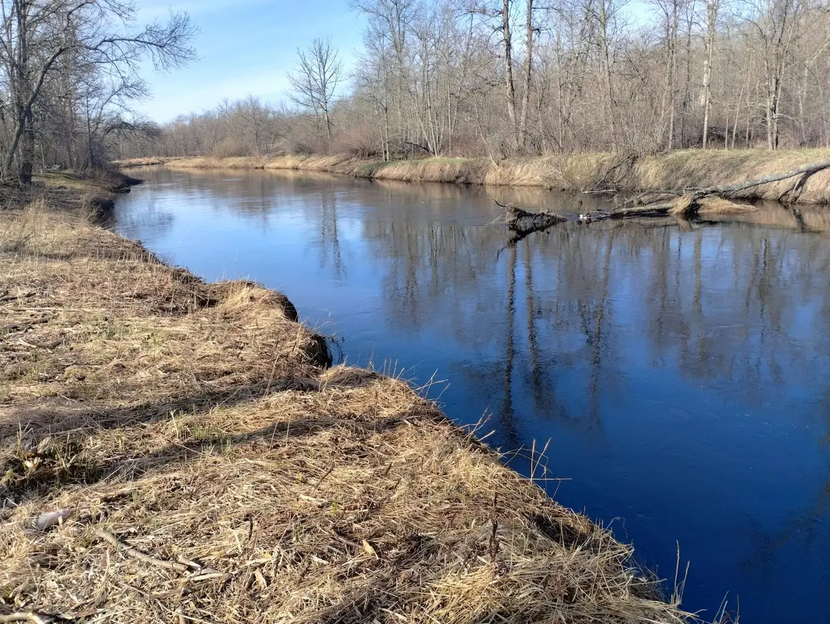 13649 188th Place, Williams, MN 56350 - #1