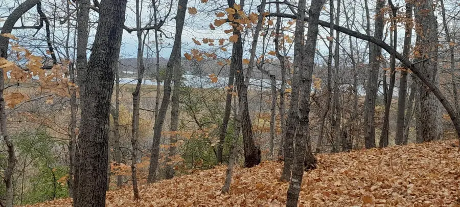 220th 220th Street, Clitherall, MN 56524 - Image #2