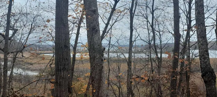 220th 220th Street, Clitherall, MN 56524 - Image #3