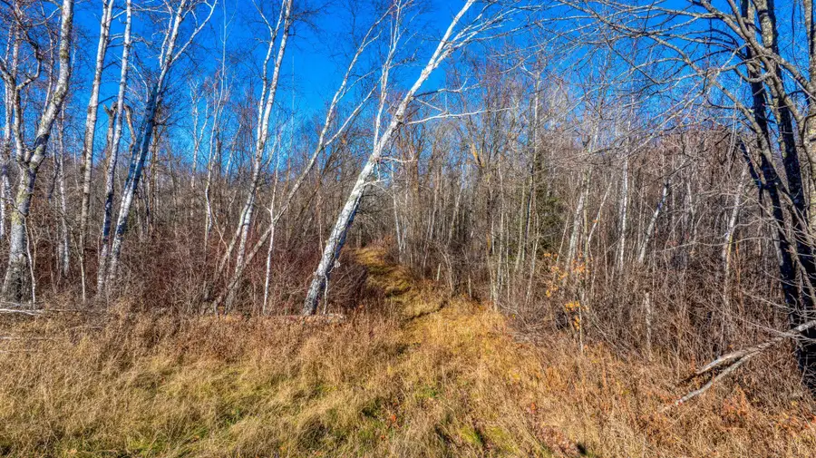 TBD Gillman Road Ne, Puposky, MN 56667 - #2