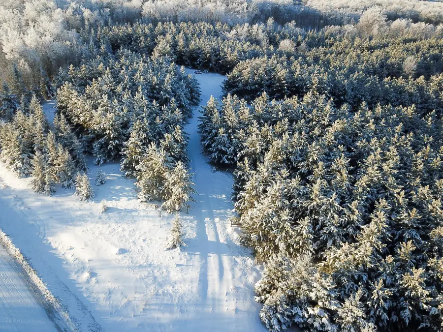 TBD 161st Avenue, Clearbrook, MN 56634 - #3