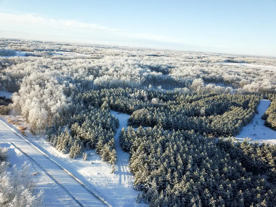 TBD1 161st Avenue, Clearbrook, MN 56634 - #3