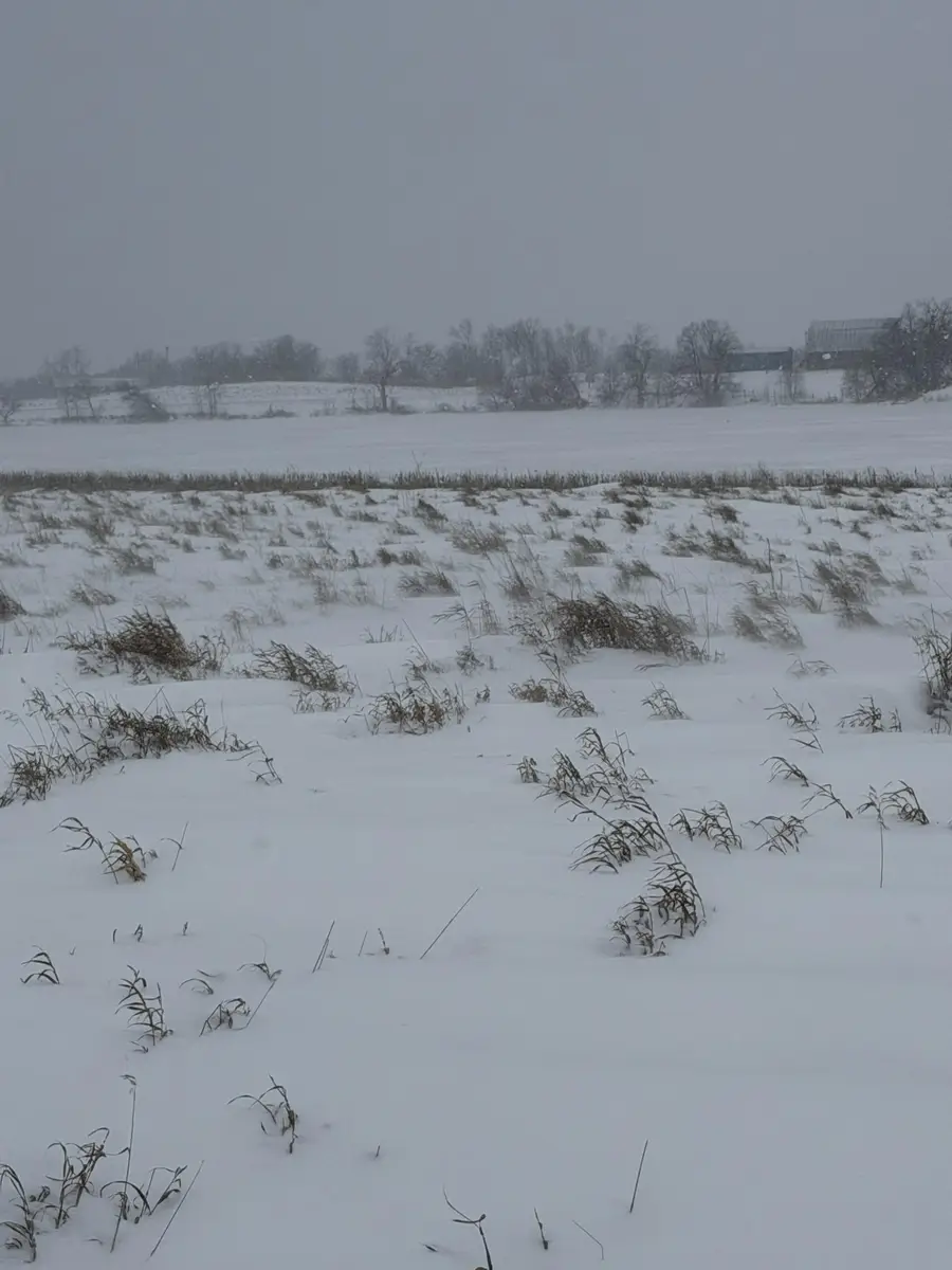 TBD 395th, Dent, MN 56528 - #2