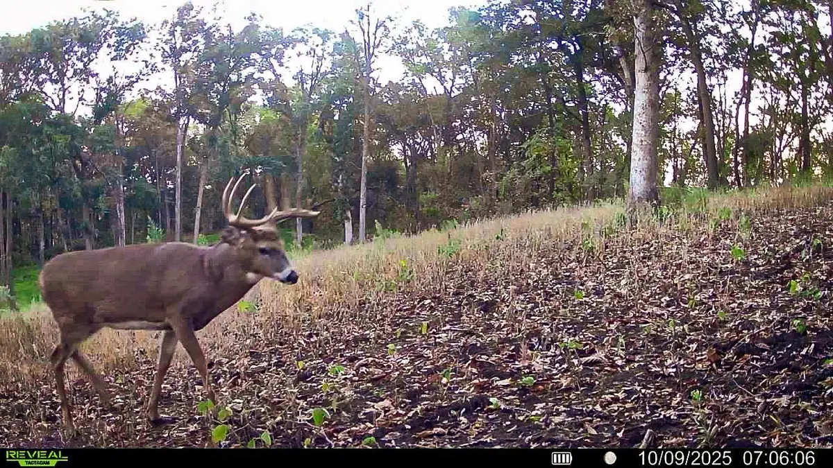 W27022 Whistle Pass Road, Dodge Town, WI 54661 - Image #1