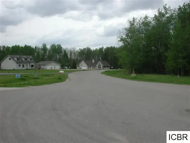 Lt 3 Blk 2 Tamarack Ln, Deer River, MN 56636 - #3