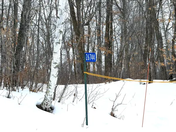 26744 Ross Lake Road, Aitkin, MN 56431